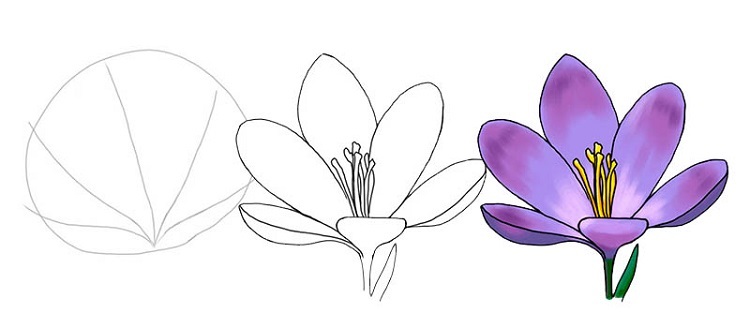 Майстер-клас: як намалювати з дитиною весняні квіти крокуси