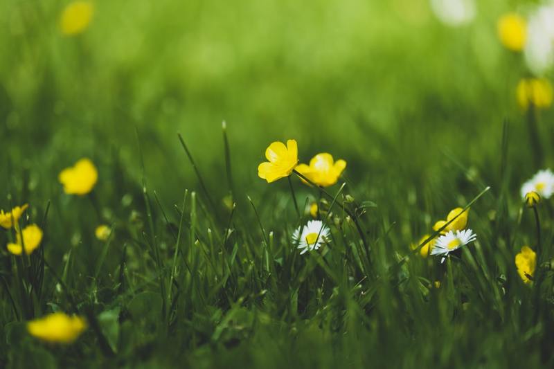 33 вірша про весну, які легко вивчити дітям