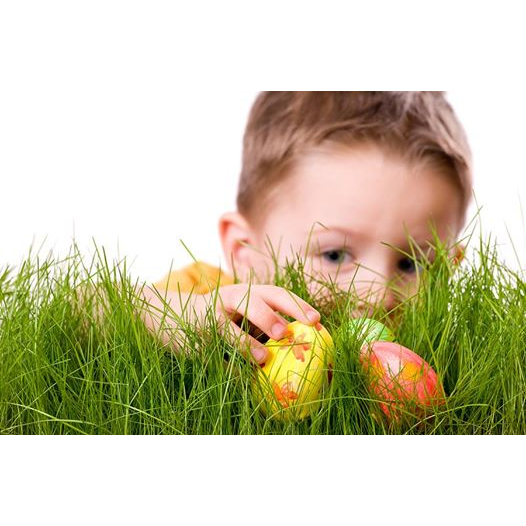 Великодній КВЕСТ для дітей від 4-х років