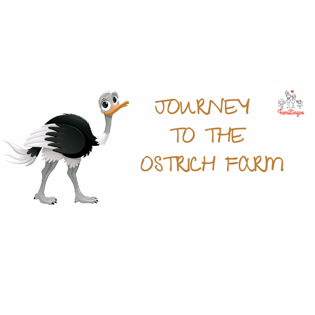Екскурсія для дітей на ферму страусів на англійській мові