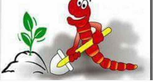 Під землею (мешканці ґрунтів)