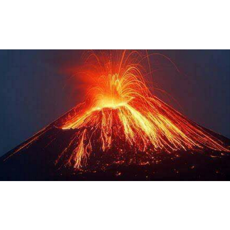 Вулканічна лісова школа