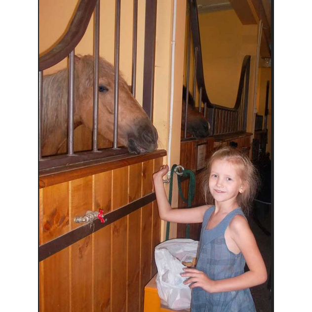 Екскурсія для дітей до Поні-клуба