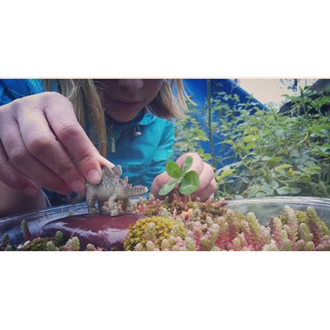 Літній дитячий табір в Нових Петрівцях