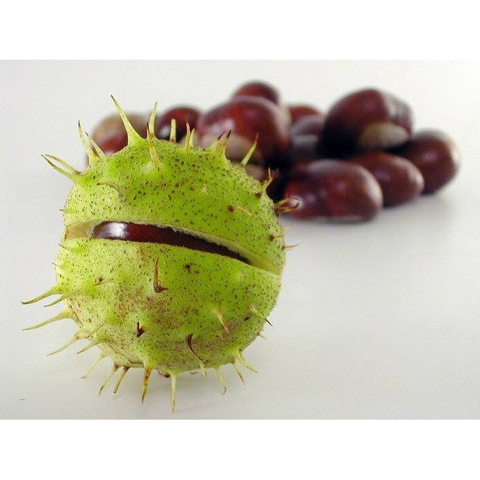 Самооценка. Уровень Подросток.