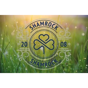 ДОПОМОГА У ВИБОРІ ПРОФЕСІЇ   START-UP