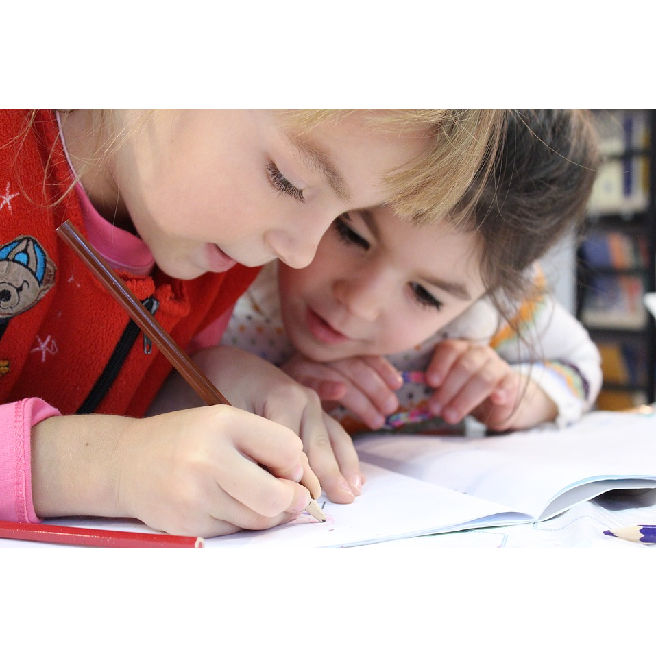 Рада ухвалила закон, що допускає асистентів дитини до шкіл і дитсадків 