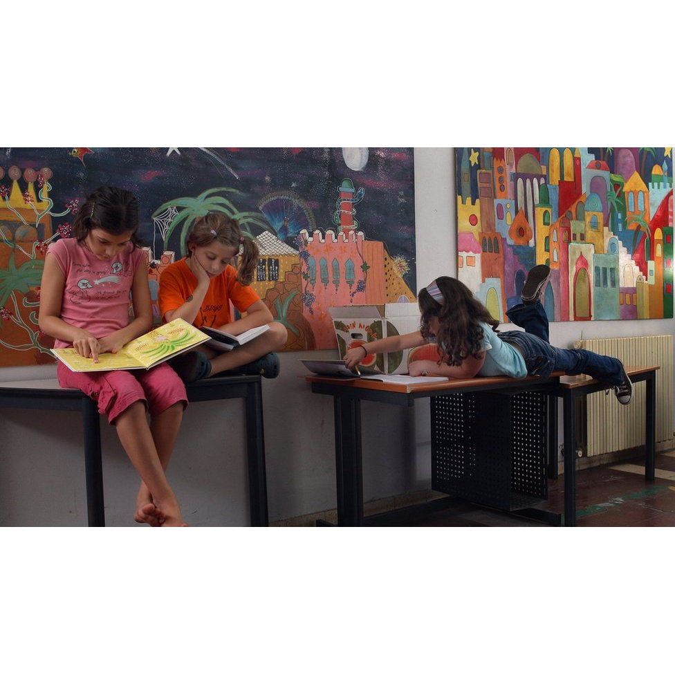 На оценки в школе влияют в первую очередь гены, а не интеллект