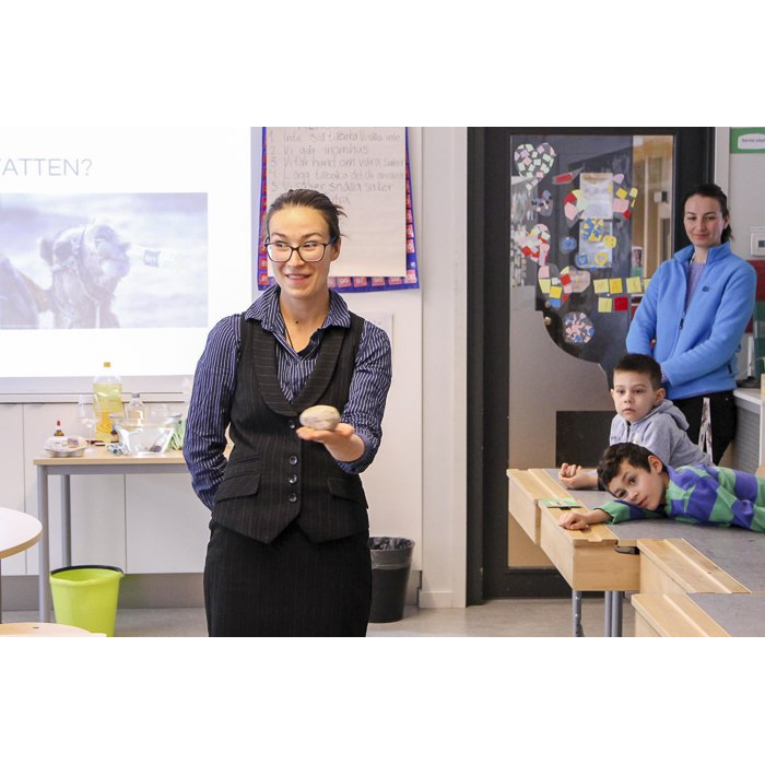 Шведская школа: все свободны