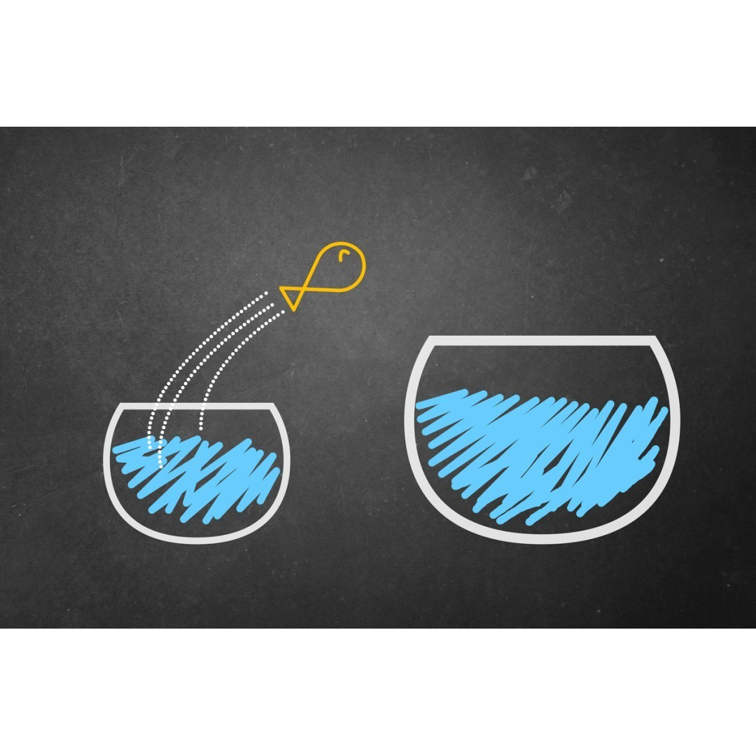 Мультипотенциалы: Три суперспособности людей, меняющих профессии