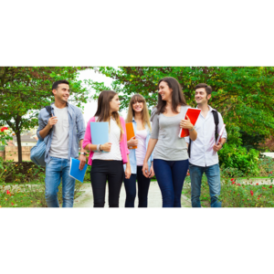 Якою може бути профільна школа: досвід Європи й перспективи України