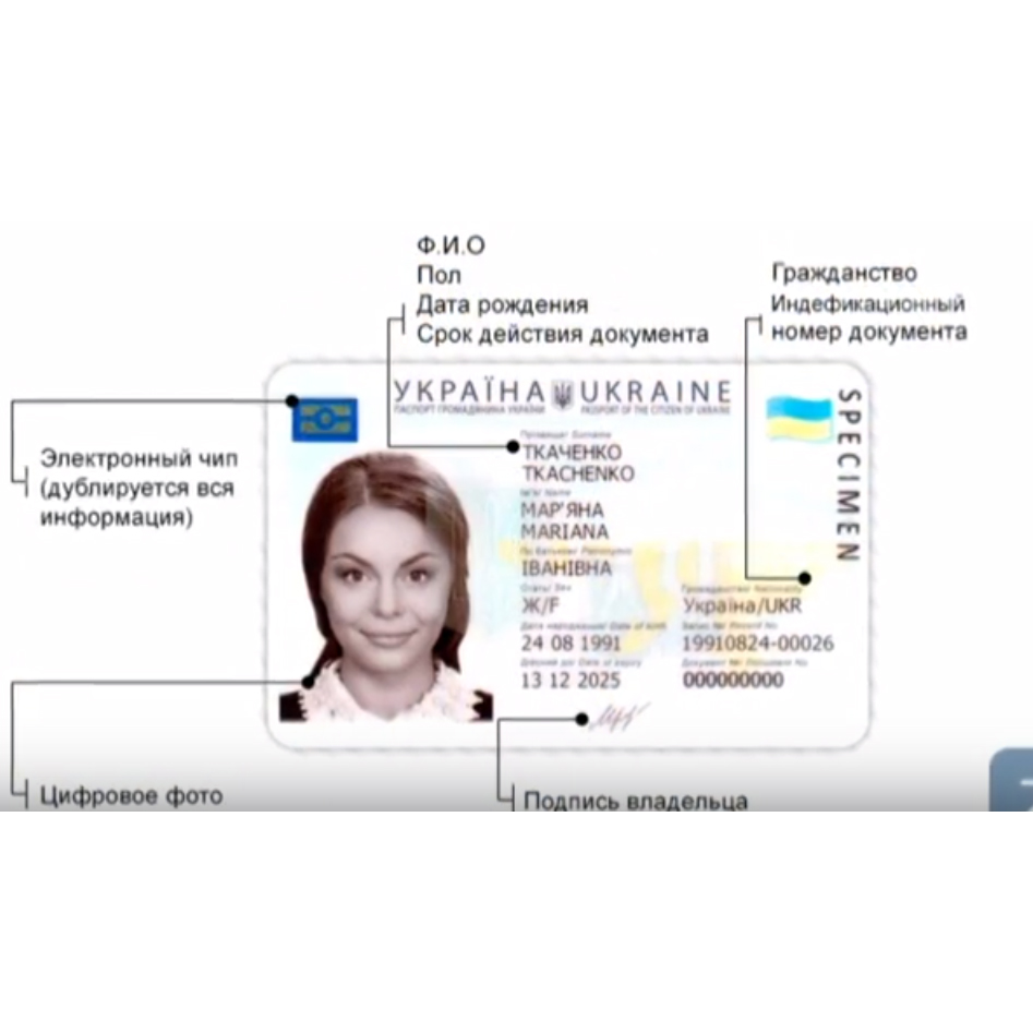 Серия паспорта и номер где находится в паспорте рф пример фото