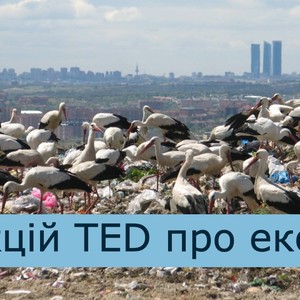 10 лекцій TED про екологію